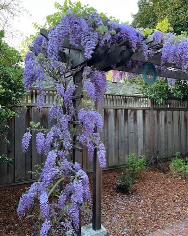 Photograph by Miriam Palm