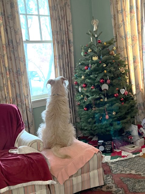 Photograph by Miriam Palm