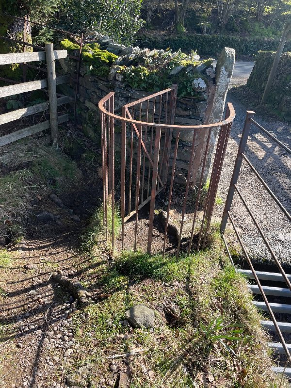 Photograph by Neville Jamieson