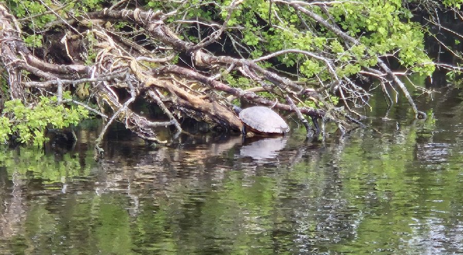 Photograph by Derek Tebay