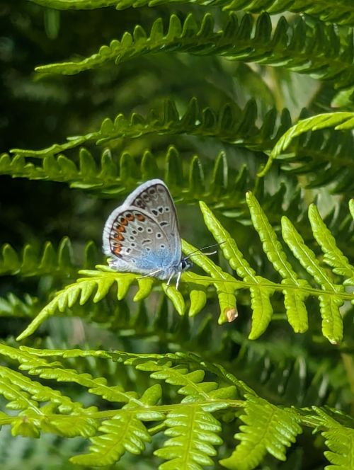 Photograph by Simon Binns