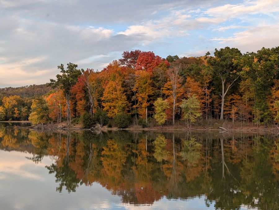 Photograph by Roger Colbran